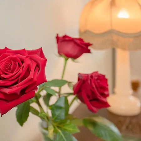 酒店 Palace Museum & National Monument - Espaco Palmeiras (adults Only)