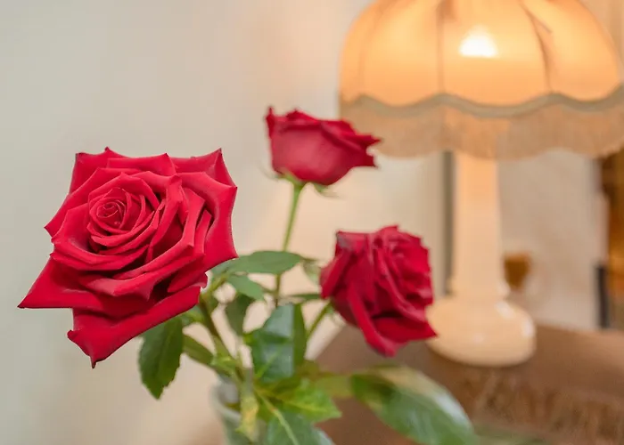 ホテル Palace Museum & National Monument - Espaco Palmeiras (adults Only)