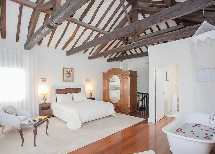 Hotel Palace Museum & National Monument - Espaco Palmeiras (adults Only)